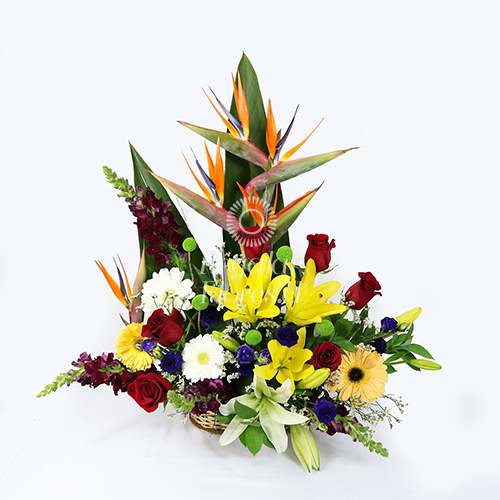 Arreglo Tropical | Regalar Flores, Envio de flores, desayunos y regalos a domicilio