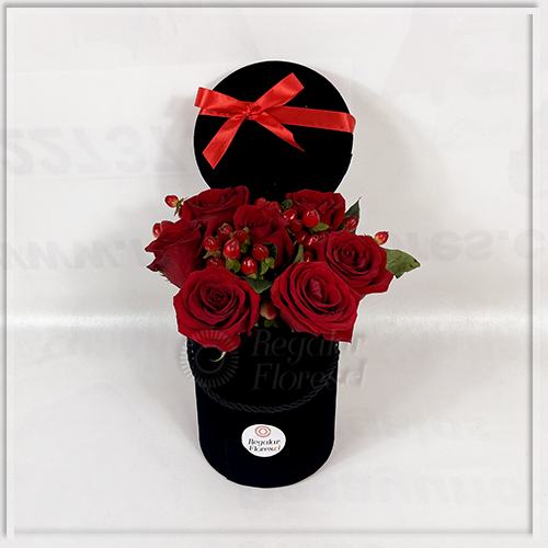 Caja terciopelo 7 rosas | Regalar Flores, Envio de flores, desayunos y regalos a domicilio