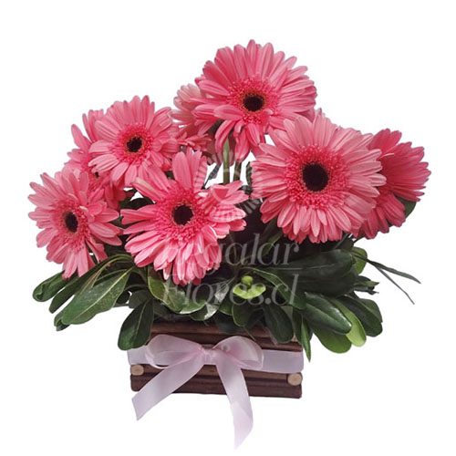 Felicia | Regalar Flores, Envio de flores, desayunos y regalos a domicilio