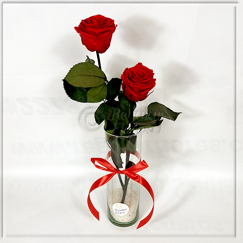 Florero 2 rosas preservadas | Regalar Flores, Envio de flores, desayunos y regalos a domicilio