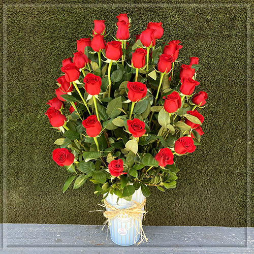 Balde de 50 Rosas | Regalar Flores, Envio de flores, desayunos y regalos a domicilio