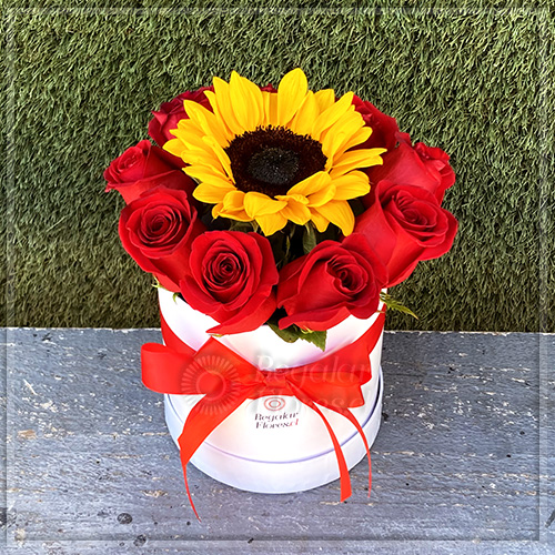 Cilindro blanco 9 rosas y girasol | Regalar Flores, Envio de flores, desayunos y regalos a domicilio