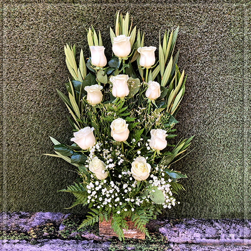 Frontal condolencias 11 rosas | Regalar Flores, Envio de flores, desayunos y regalos a domicilio
