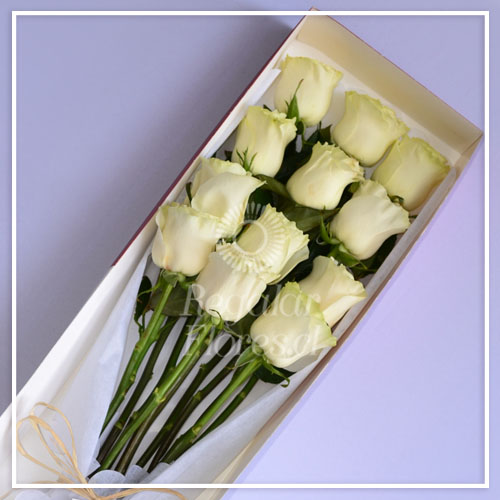 Caja 12 rosas blancas