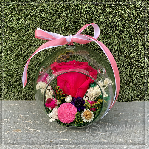 Acuario colgante jardín preservado | Regalar Flores, Envio de flores, desayunos y regalos a domicilio
