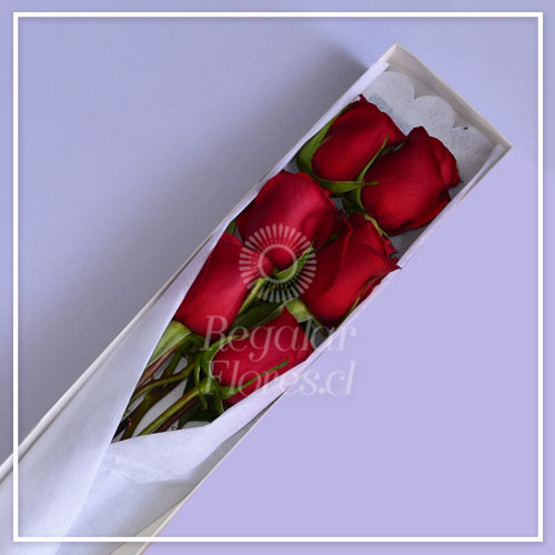 Caja 6 rosas rojas | Regalar Flores, Envio de flores, desayunos y regalos a domicilio