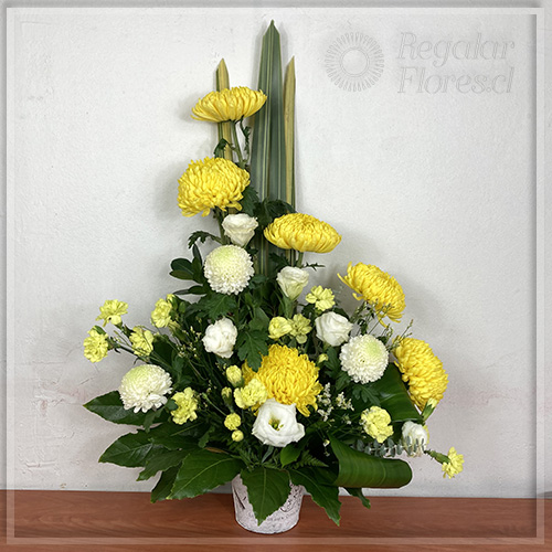 Balde condolencias Cremones | Regalar Flores, Envio de flores, desayunos y regalos a domicilio