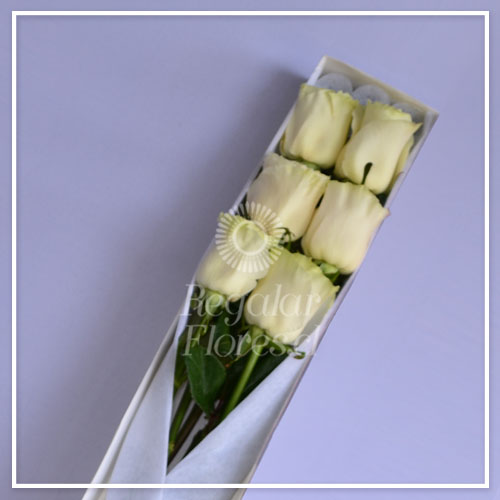 Caja 6 rosas blancas | Regalar Flores, Envio de flores, desayunos y regalos a domicilio