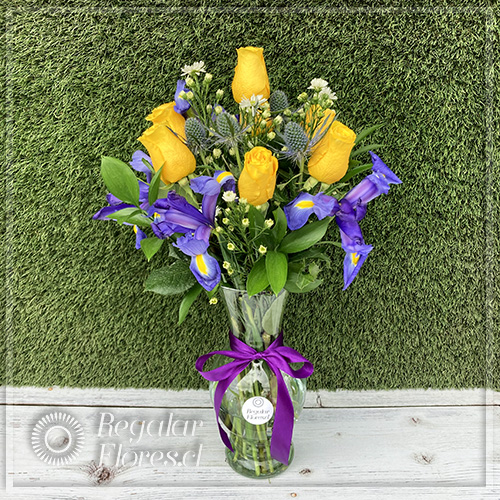 Florero 7 rosas e iris | Regalar Flores, Envio de flores, desayunos y regalos a domicilio