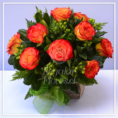 Arreglo Rosas Bicolor | Regalar Flores, Envio de flores, desayunos y regalos a domicilio