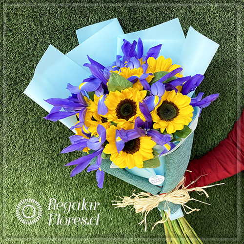 Ramo Girasoles e Iris | Regalar Flores, Envio de flores, desayunos y regalos a domicilio