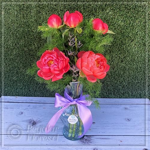 Florero 5 peonias | Regalar Flores, Envio de flores, desayunos y regalos a domicilio