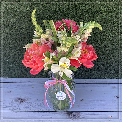 Florero 3 peonias y perritos | Regalar Flores, Envio de flores, desayunos y regalos a domicilio