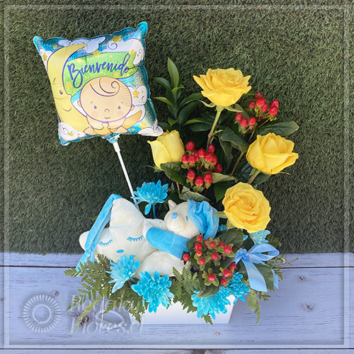 Quimey | Regalar Flores, Envio de flores, desayunos y regalos a domicilio