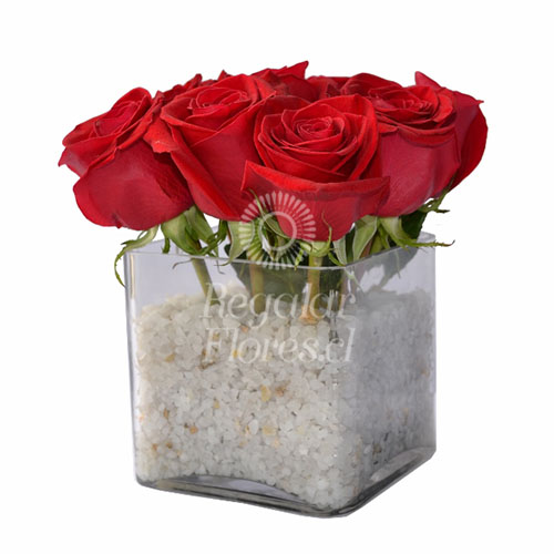Cubo 9 Rosas | Regalar Flores, Envio de flores, desayunos y regalos a domicilio