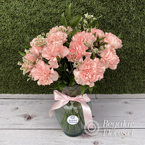 Florero de claveles | Regalar Flores, Envio de flores, desayunos y regalos a domicilio