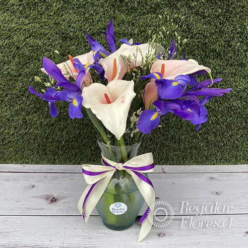 Florero Calas e iris | Regalar Flores, Envio de flores, desayunos y regalos a domicilio