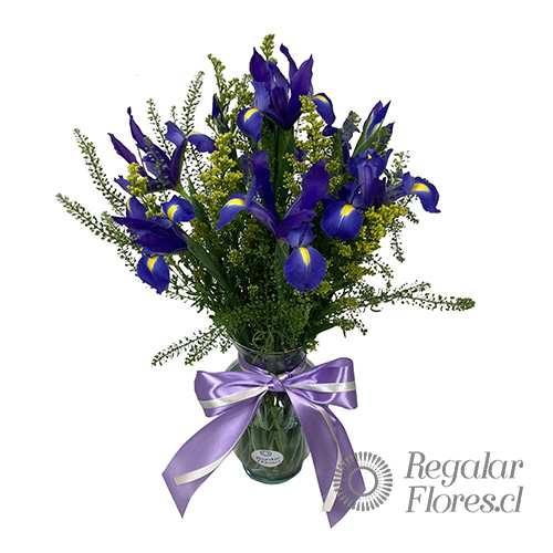 Florero Iris y Lepidium | Regalar Flores, Envio de flores, desayunos y regalos a domicilio