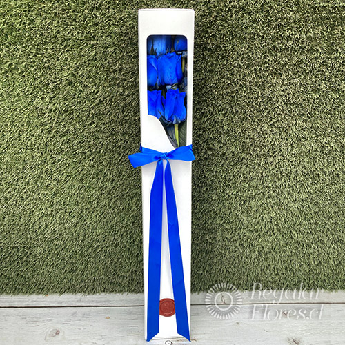 Caja 6 rosas azules | Regalar Flores, Envio de flores, desayunos y regalos a domicilio
