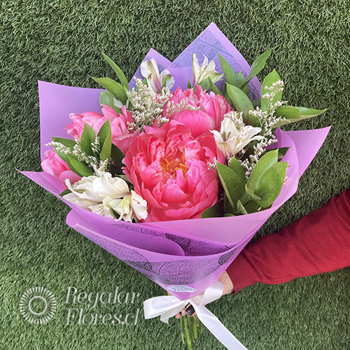 Ramo 3 peonias y alstroemerias | Regalar Flores, Envio de flores, desayunos y regalos a domicilio