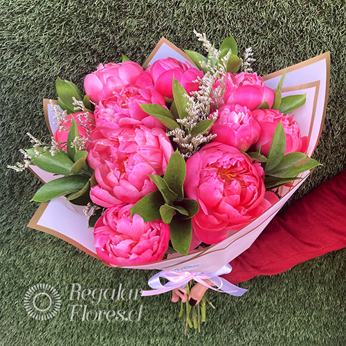 Ramo 10 peonias | Regalar Flores, Envio de flores, desayunos y regalos a domicilio