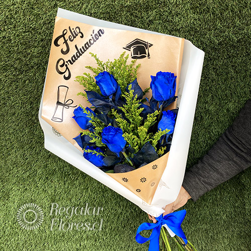 Ramo graduacion 6 rosas azules | Regalar Flores, Envio de flores, desayunos y regalos a domicilio