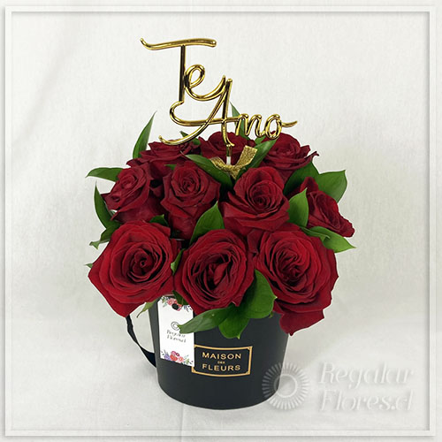 Cajita cono 10 rosas y varilla Te Amo | Regalar Flores, Envio de flores, desayunos y regalos a domicilio