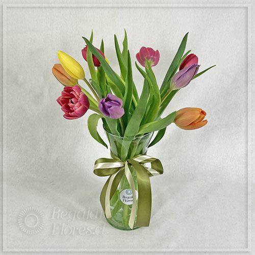 Florero 10 tulipanes mixtos