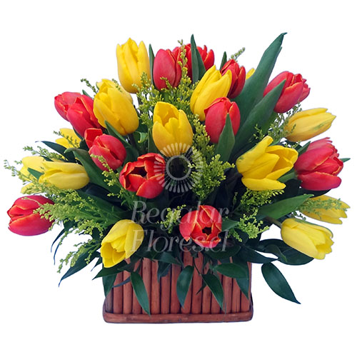 Arreglo 30 tulipanes | Regalar Flores, Envio de flores, desayunos y regalos a domicilio